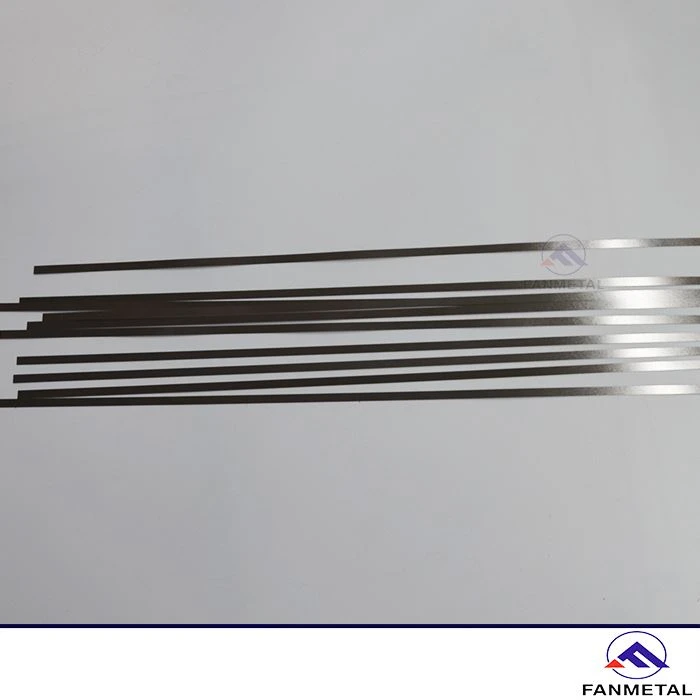 Pure Tungsten Strips